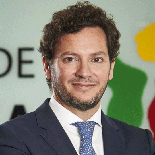 Luís Araújo